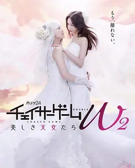 www.538.cn免费网站入口使用指南